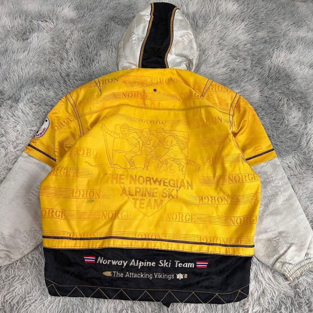 m6580【希少 ノルウー代表 フェニックス】スキーウェア 上下 メンズ (L)