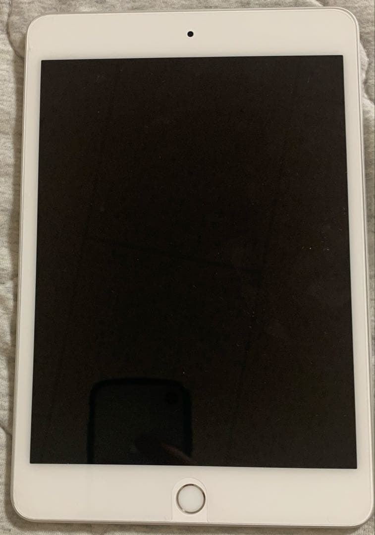 Apple iPad mini 5 シルバー 本体　訳あり