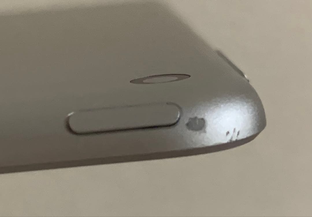 Apple iPad mini 5 シルバー 本体　訳あり