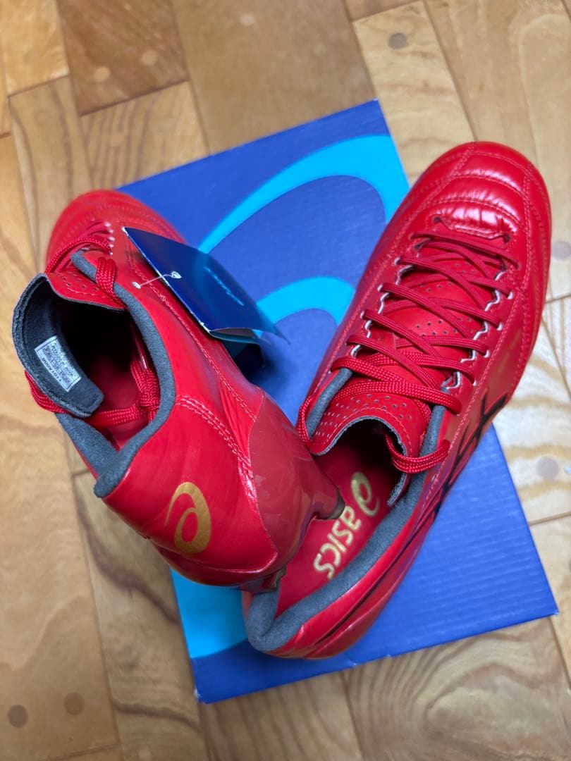 新品　激レア　廃盤　限定カラー　アシックス　DSライト X-FLY 4 25cm