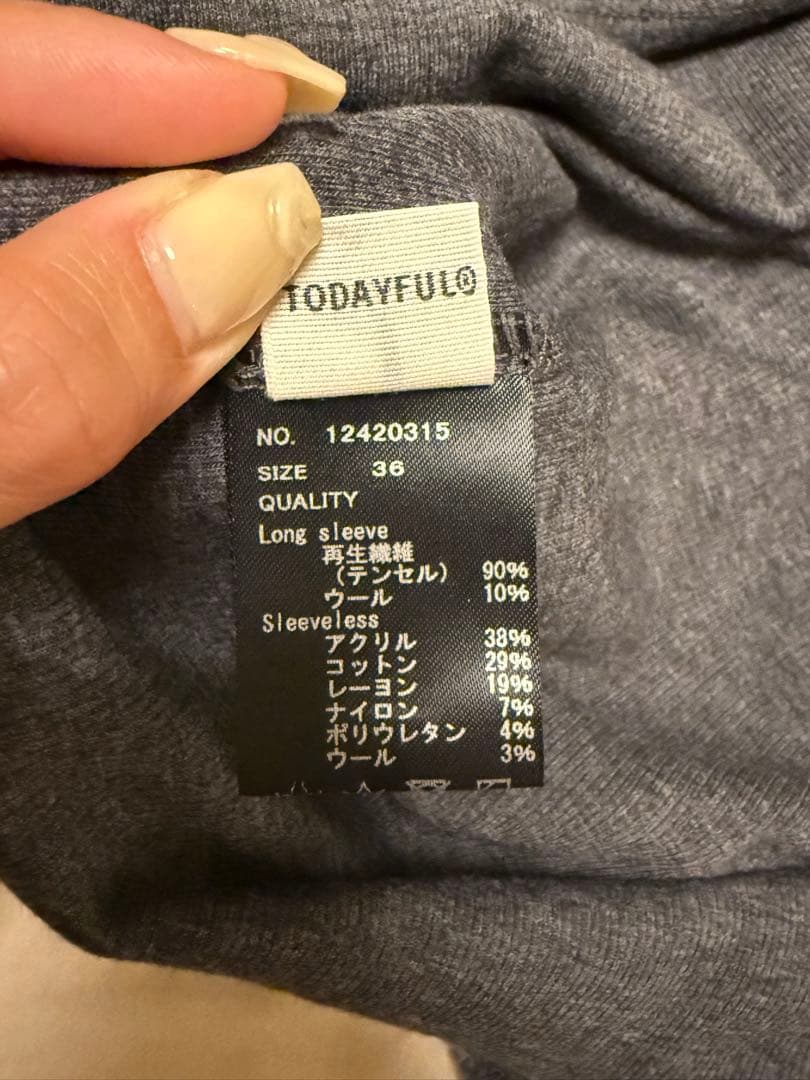 komodo⭐︎プロフィールご覧下さいLayeredSheerDress