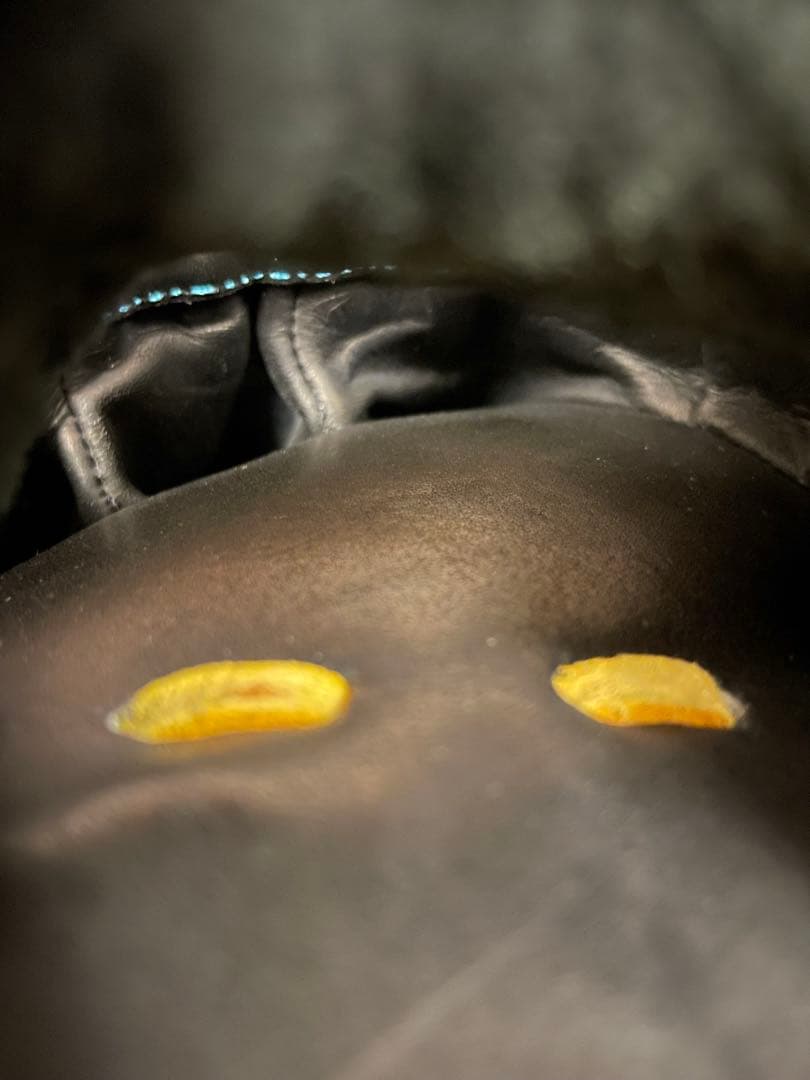 新品　プロエッジ　野球 硬式グローブ 一般用　大人　右投げ　グラブ　内野　右利き