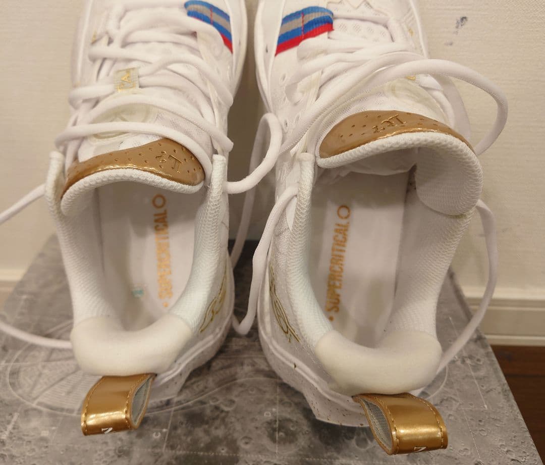 シューズ(男性用) Wade All City13(US9)