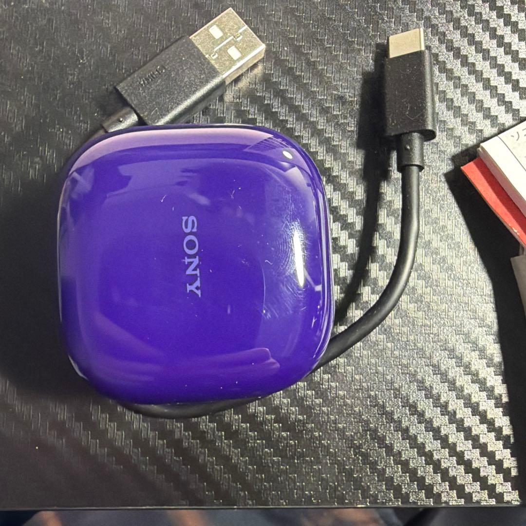 美品 Sony WF-LS910N/VZ ワイヤレスノイズキャンセリングイヤホン