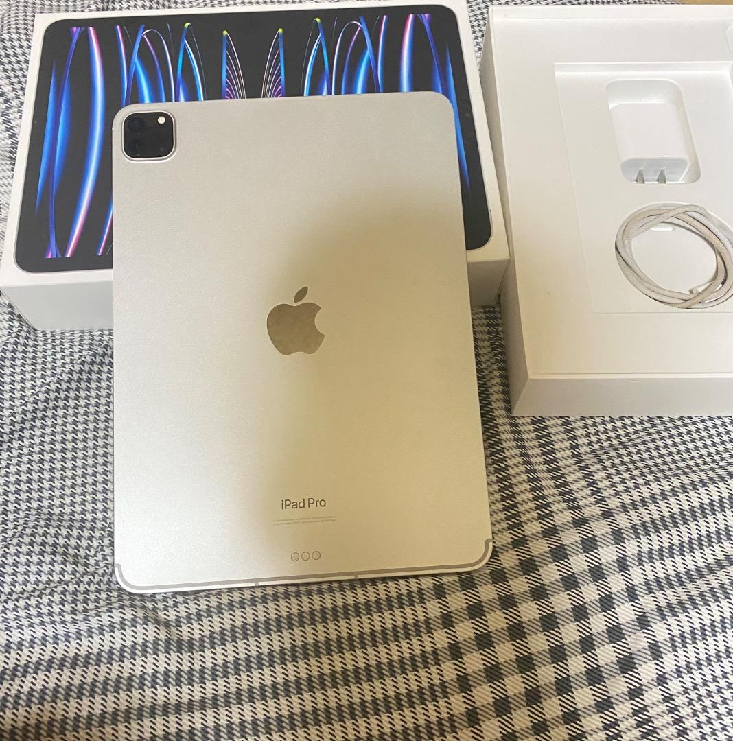 iPad Pro M２ 11インチ(第4世代)