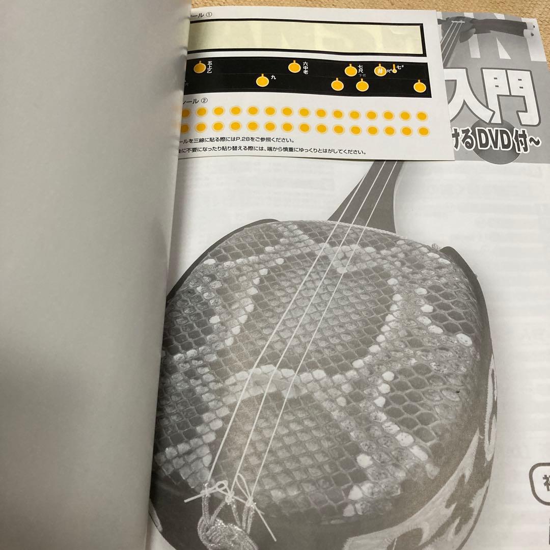 三線 DVD付き スターターセット 沖縄本島柄人工革