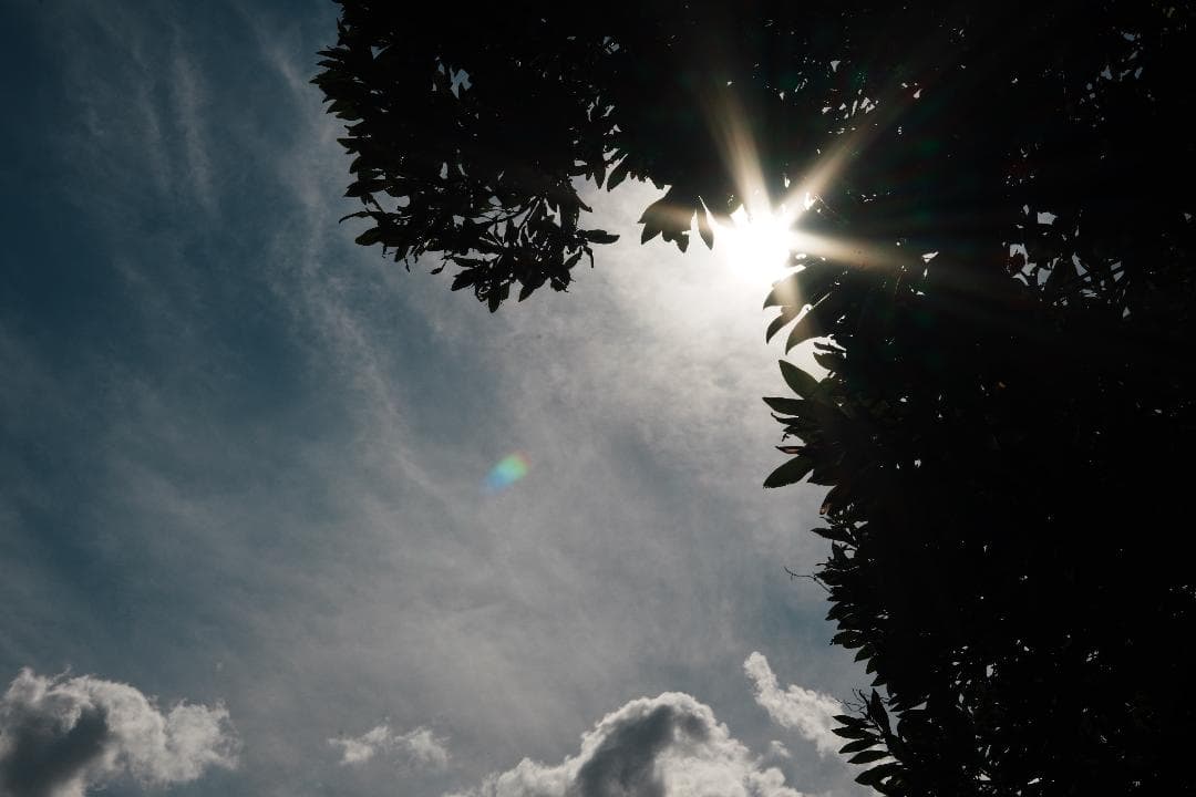空気まで写す一本 Contax Zeiss S-Planar 60mm F2.8