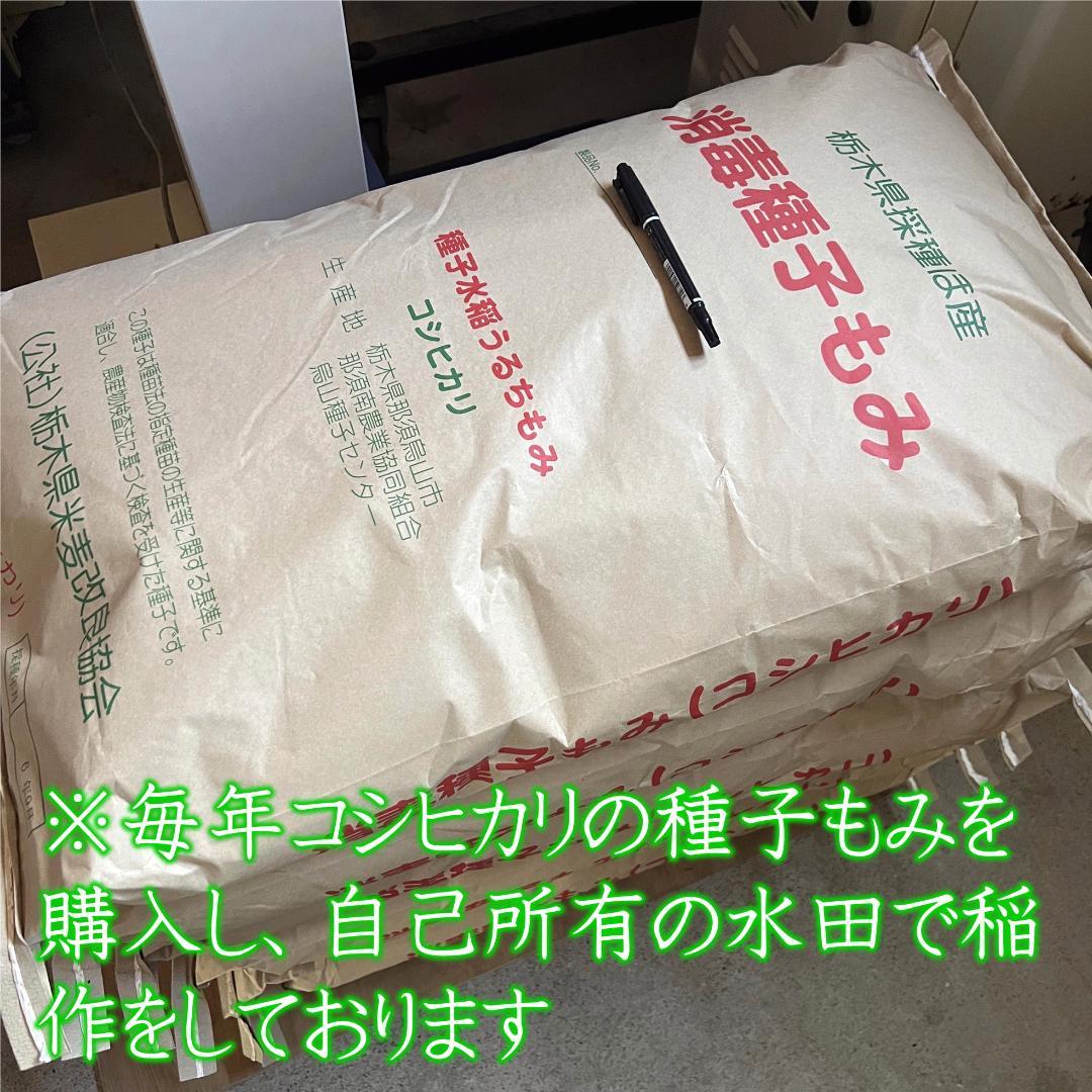 白米10kg◇令和７年産コシヒカリ白米10キロ◇栃木県産新米