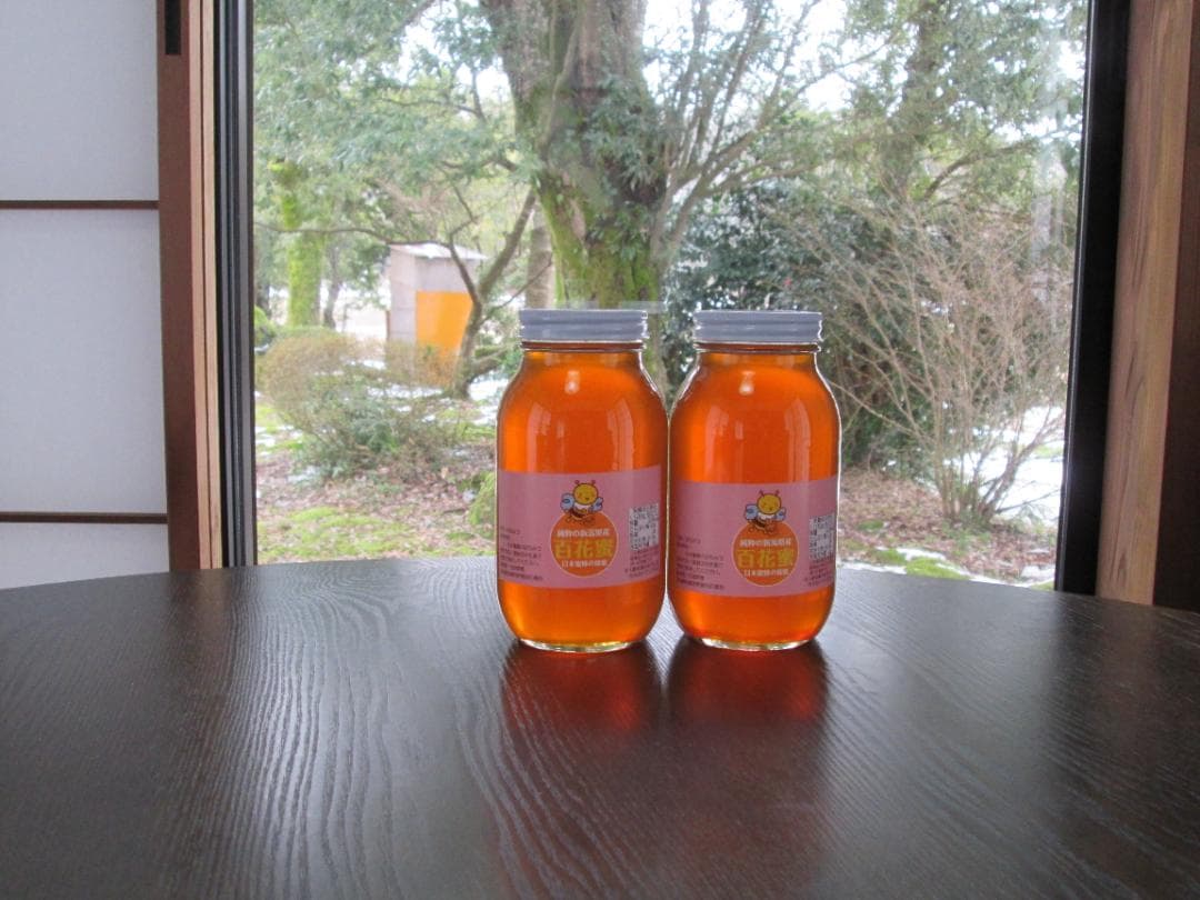 日本ミツバチ（日本蜜蜂）の蜂蜜　2本合計２，４ｋｇ