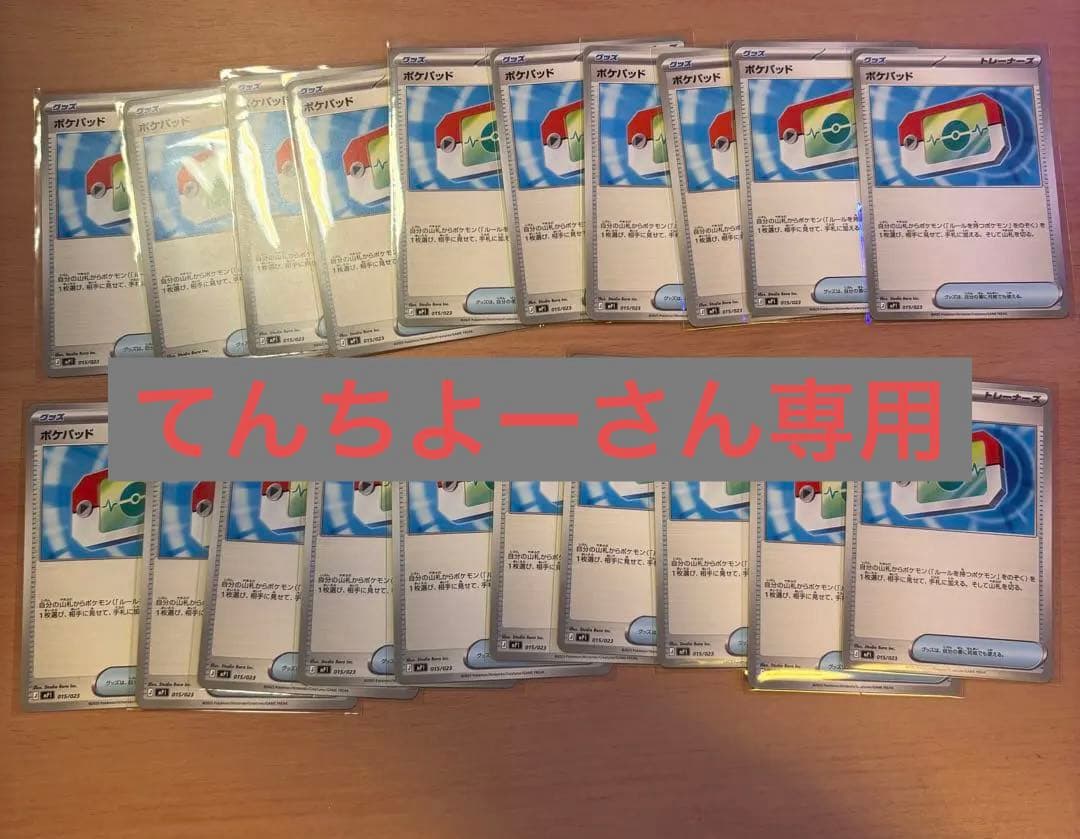 てんちよーさん専用ポケモンカード ポケパッド 80枚