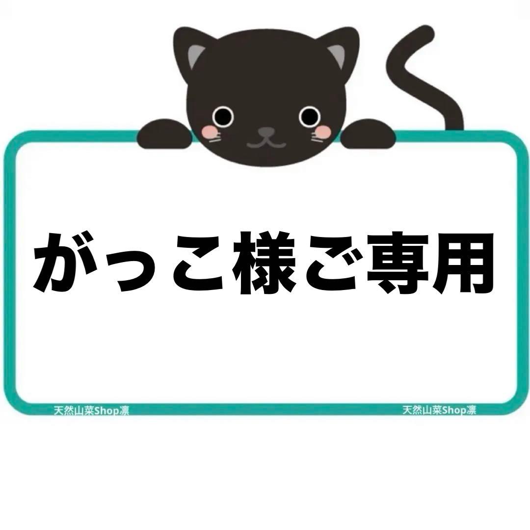 天然きのこ 松茸 国産 良品‼️ マツタケ まつたけ 大自然の凛さん採取その213