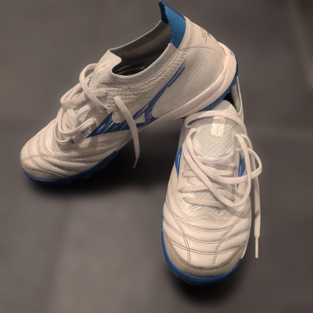 【今週末まで】モレリアネオsala β japan　TF 23cm