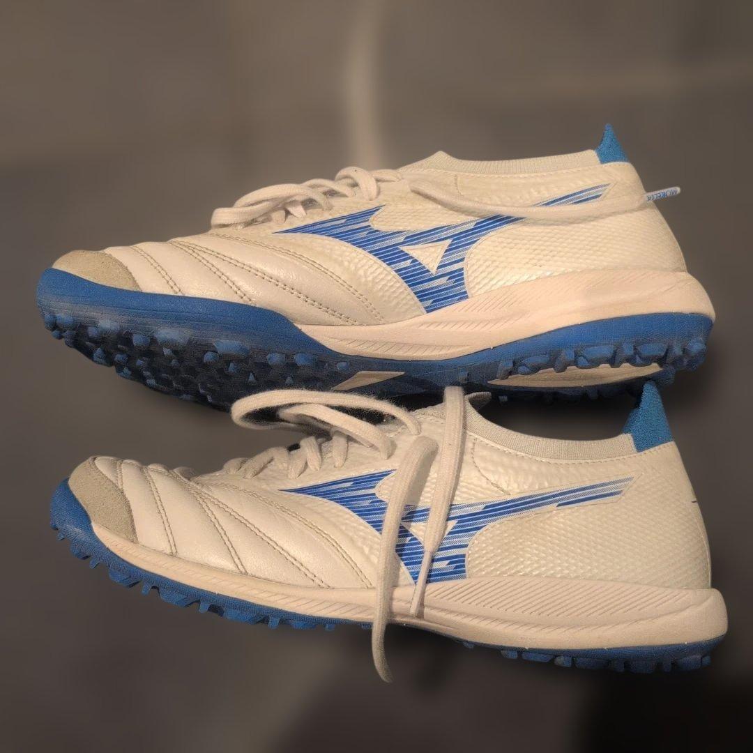 【今週末まで】モレリアネオsala β japan　TF 23cm