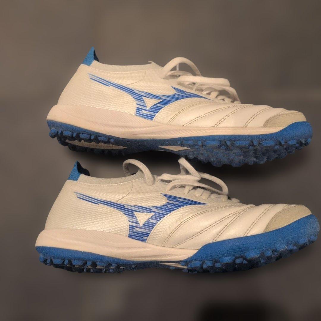 【今週末まで】モレリアネオsala β japan　TF 23cm