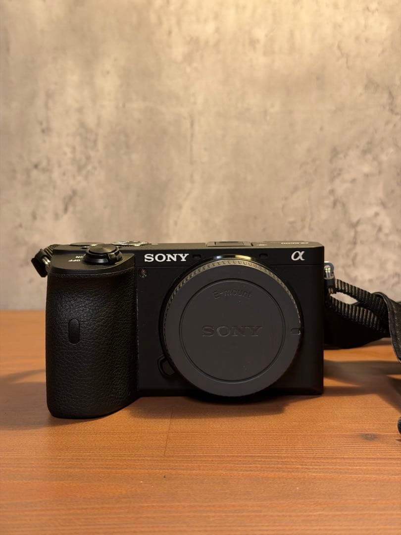 SONY α6600 レンズキット 18-135（ミラーレス一眼レフカメラ）