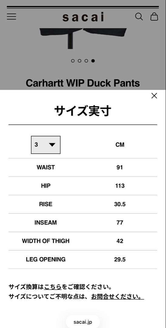 sacai Carhartt WIP Duck Pants ブラック 3