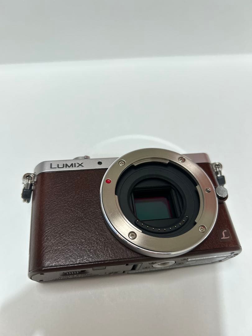 LUMIX gm1ブラウン　Cマウントレンズセットで！