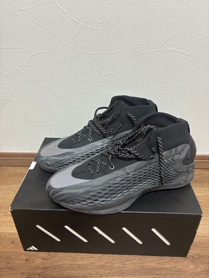 シューズ(男性用) AE1 29cm