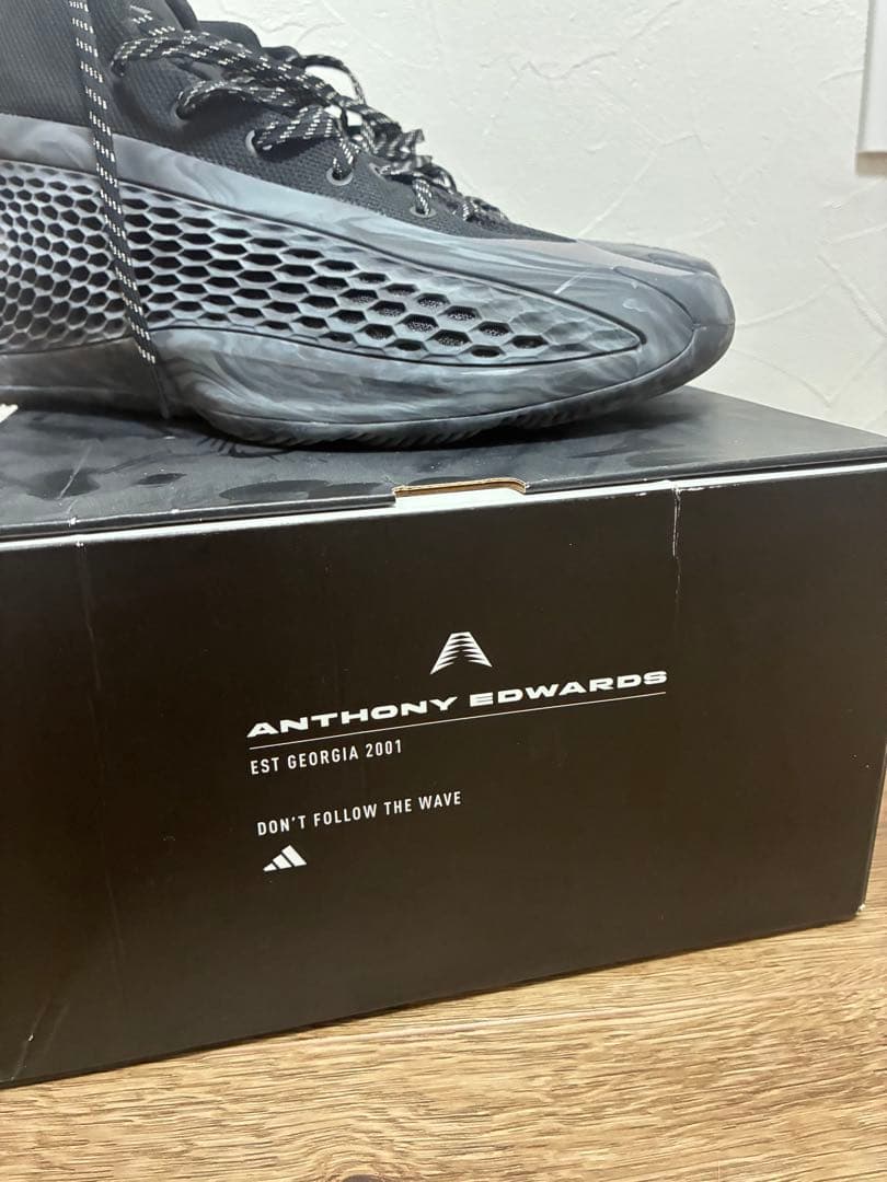 シューズ(男性用) AE1 29cm