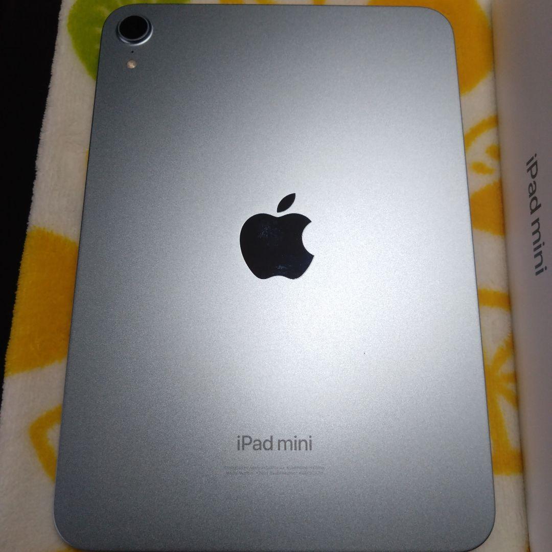 iPad mini（第7世代 A17 Pro）Wi-Fi 256GB ブルー