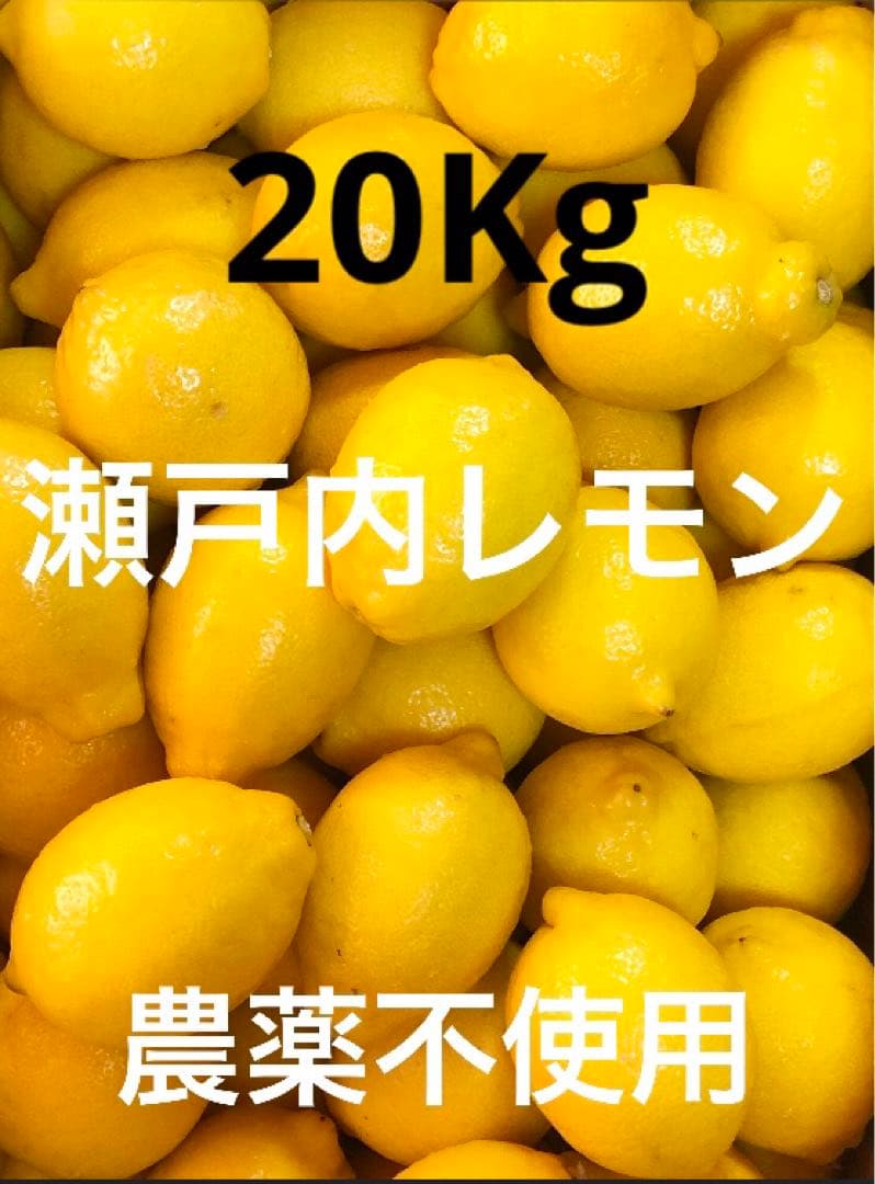 Ⅱ国産瀬戸内レモン20Kg
