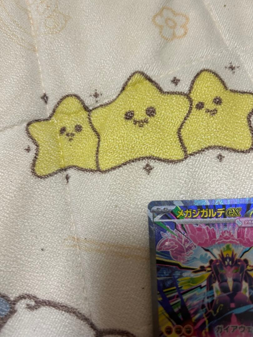 メイのはげましsar、メガジガルデ sarセットメガジガルデ初期傷あり