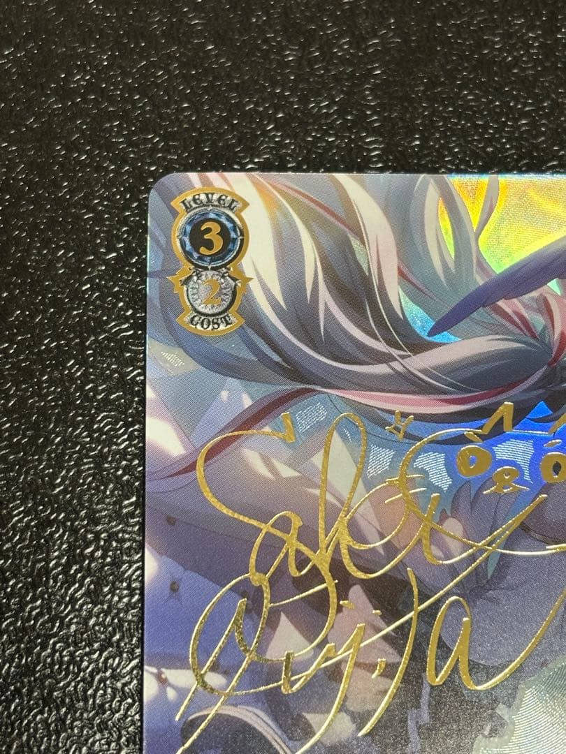 ヴァイス　想いが重なる場所で 初音ミク　SSP