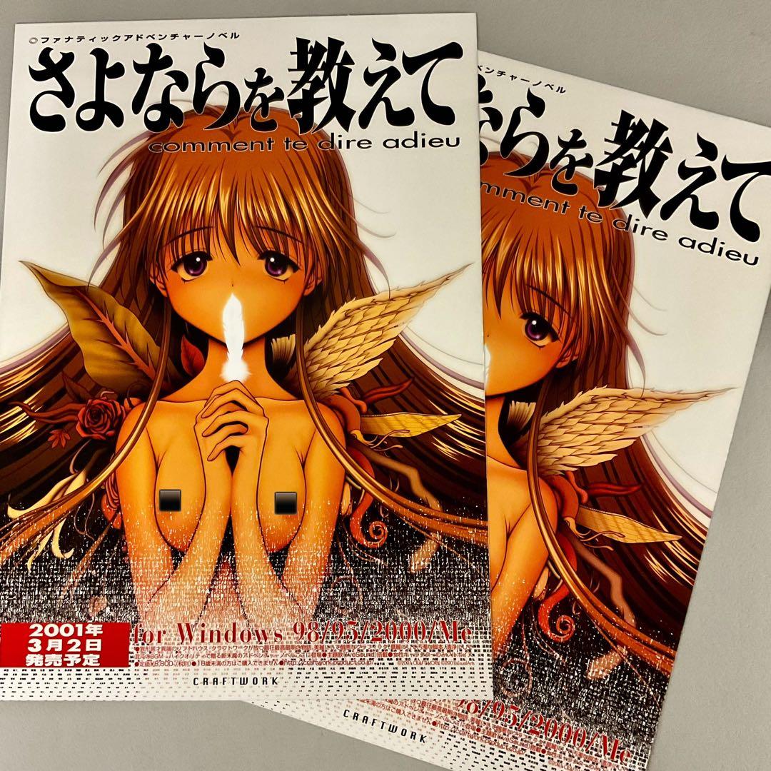 N*A様 PCソフト さよならを教えて チラシ 2枚セット