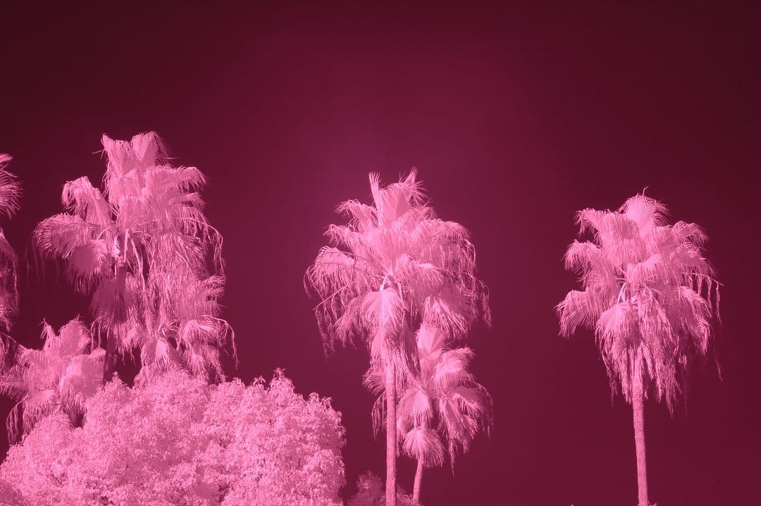 赤外線フィルター搭載 天体撮影や幻想的な撮影に!! Nikon D70