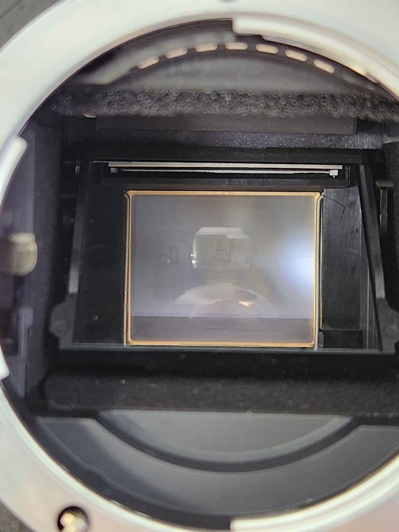 赤外線フィルター搭載 天体撮影や幻想的な撮影に!! Nikon D70