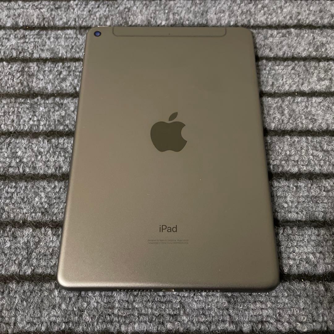 116【早い者勝ち】 iPad mini5 5世代 256GB スペースグレイ