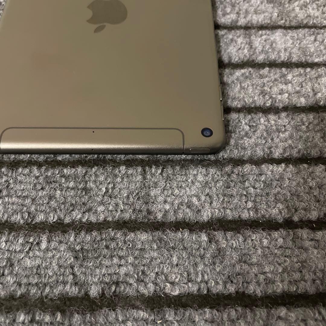 116【早い者勝ち】 iPad mini5 5世代 256GB スペースグレイ