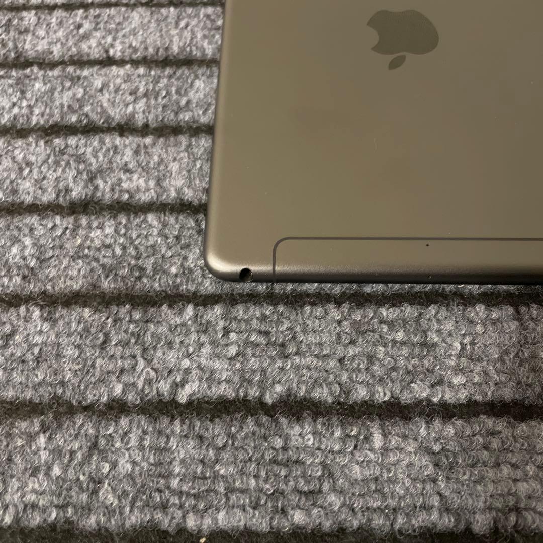 116【早い者勝ち】 iPad mini5 5世代 256GB スペースグレイ