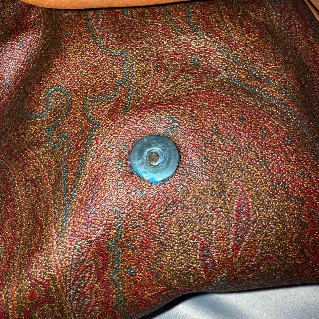 希少◾️エトロ　クラウン・ミー　コレクション　ペイズリー　レザーバック