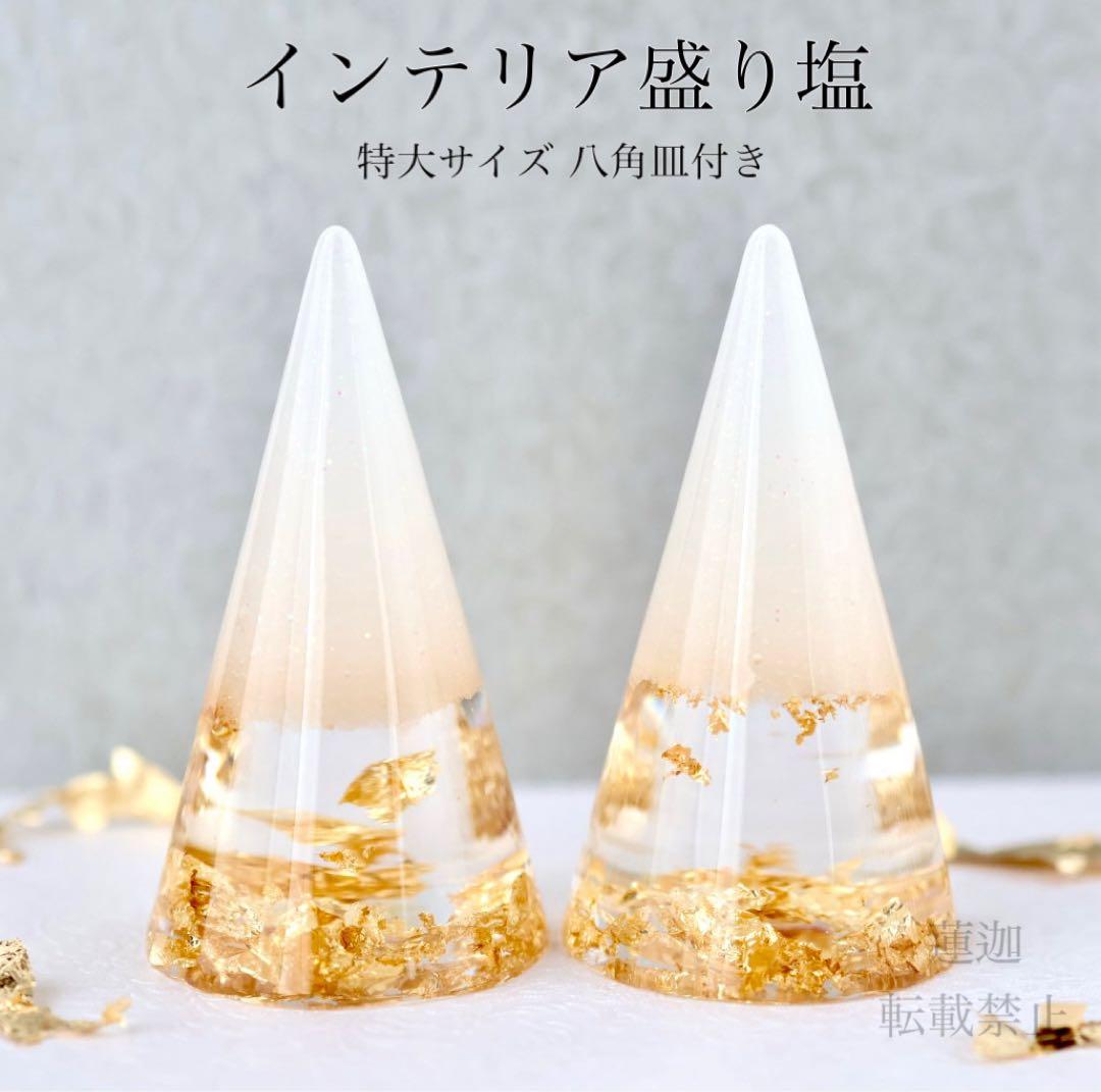 ✤Fuutan✤30日~5日発送休み インカローズ4個 特大盛り塩 4個