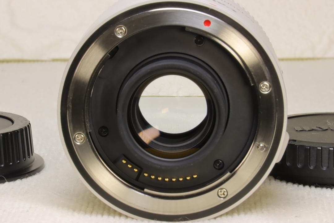 N*N様 Canon　EXTENDER EF2× III【3型・極美品】防湿庫保