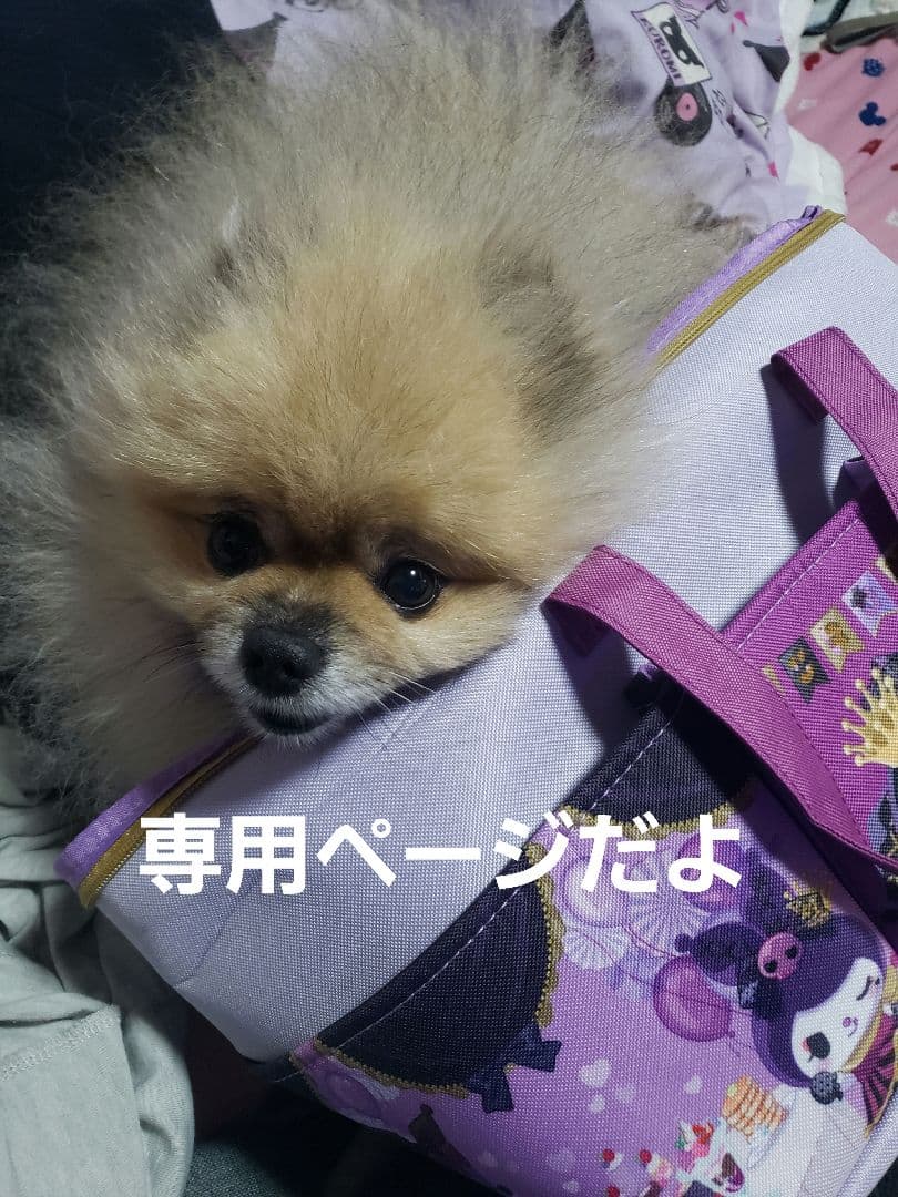 PLUEST スキンケアセット 4点セット