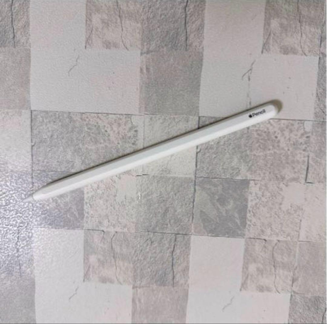 ［美品］iPad Pro 第一世代256GB Apple Pencil第二世代
