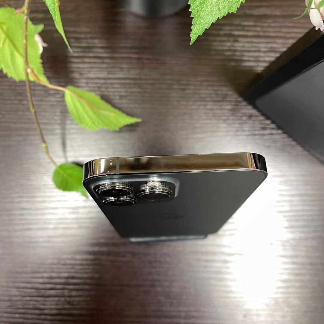 iPhone 13ProMax 256GB 国内SIMフリー 送料無料