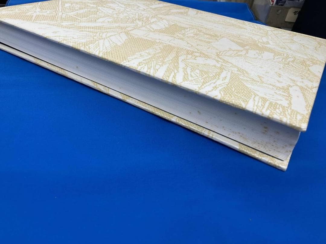 『童夢』大友克洋 豪華版 コミックス初版本セット