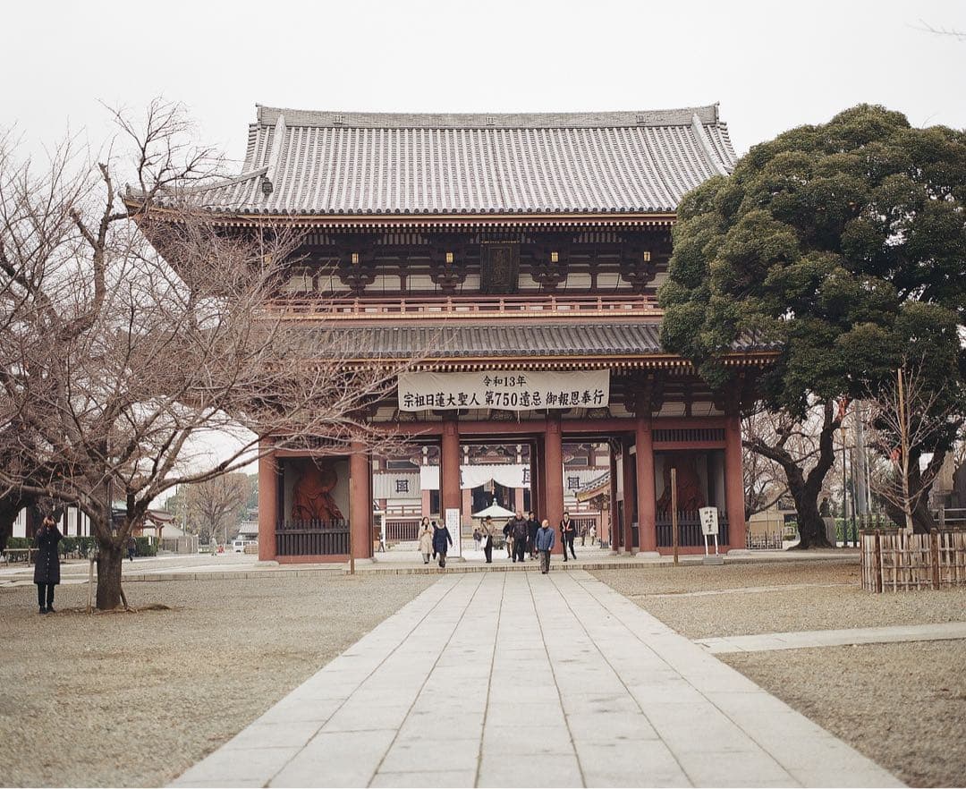 作例あり　PENTAX 6x7 中判カメラ