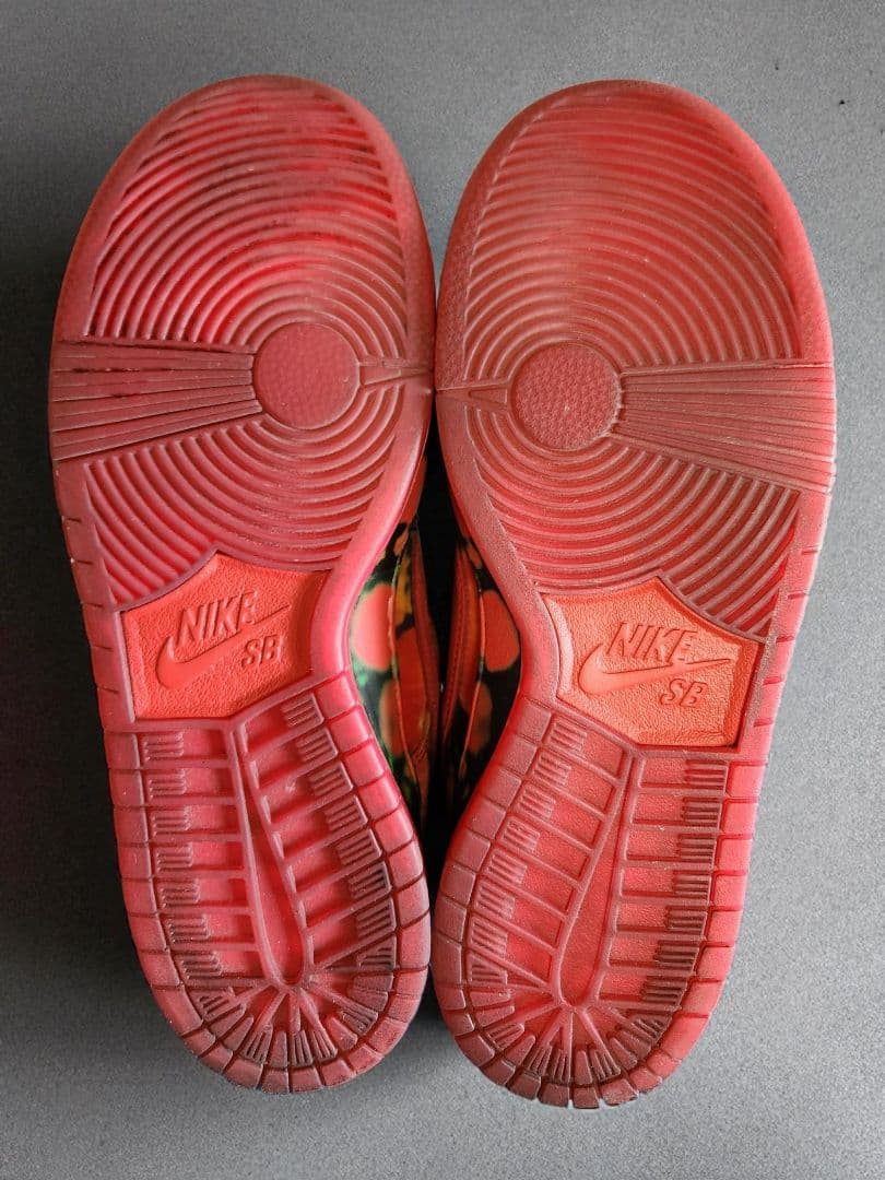 【新品未使用 限定 21㎝】NIKE SB DUNK LOW オズの魔法使い