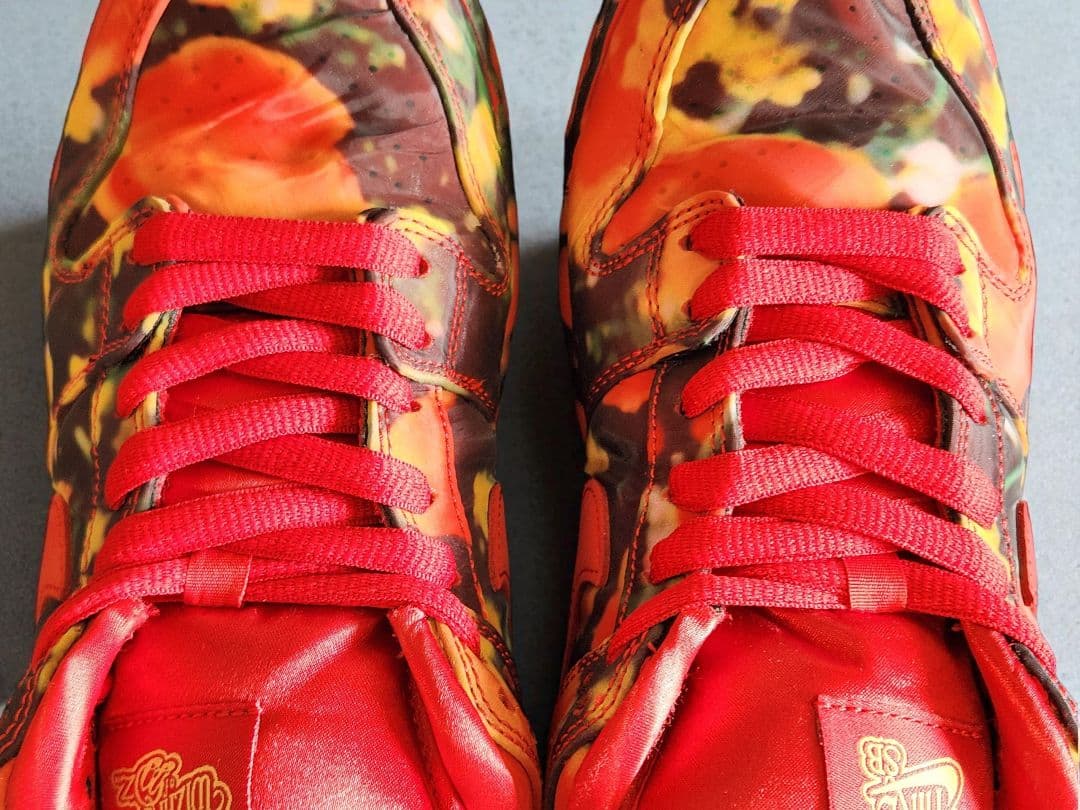 【新品未使用 限定 21㎝】NIKE SB DUNK LOW オズの魔法使い