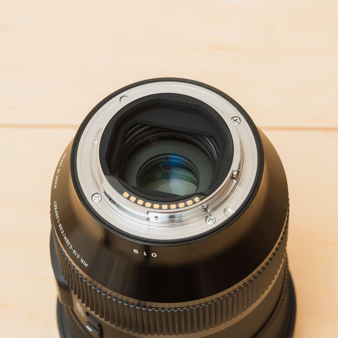 SIGMA 24-70mm F2.8 DG DN Art SONY Eマウント