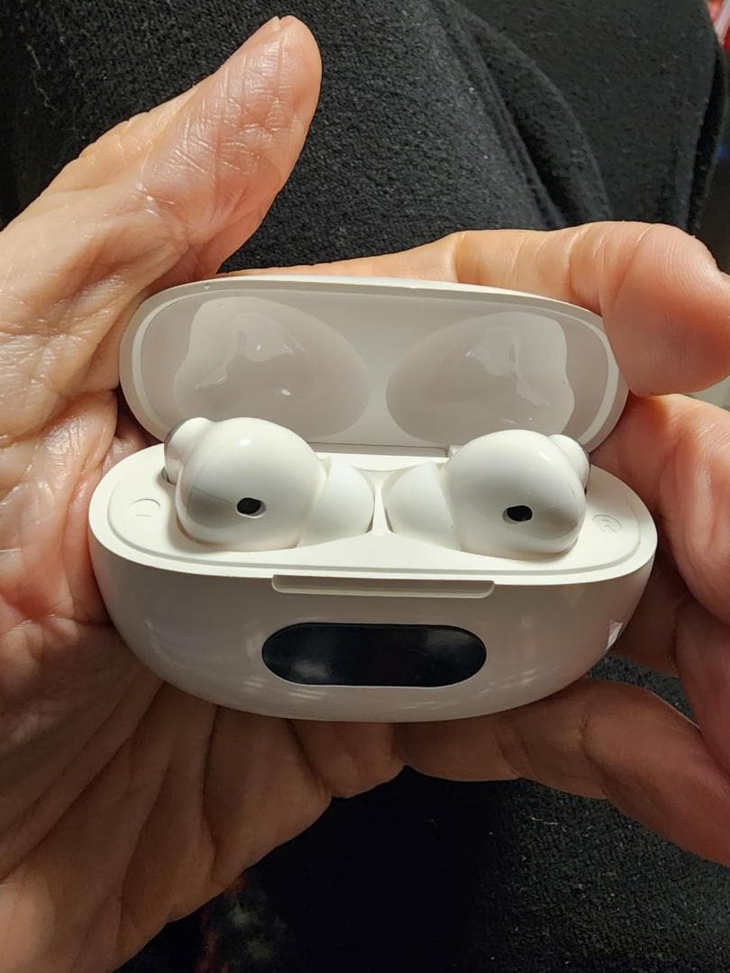 集音器 高齢者 しゅうおんき イヤホン型【2025年新モデル1台2役】両耳/片耳