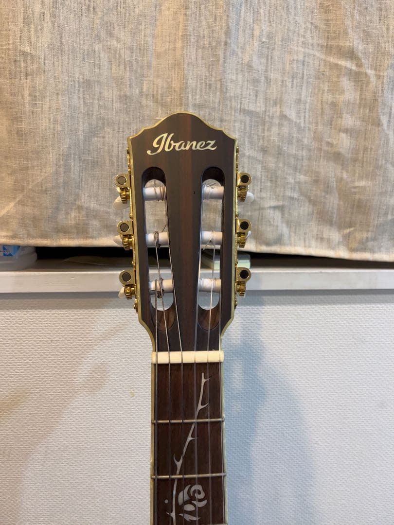 Tod10n Tim Henson シグネチャー