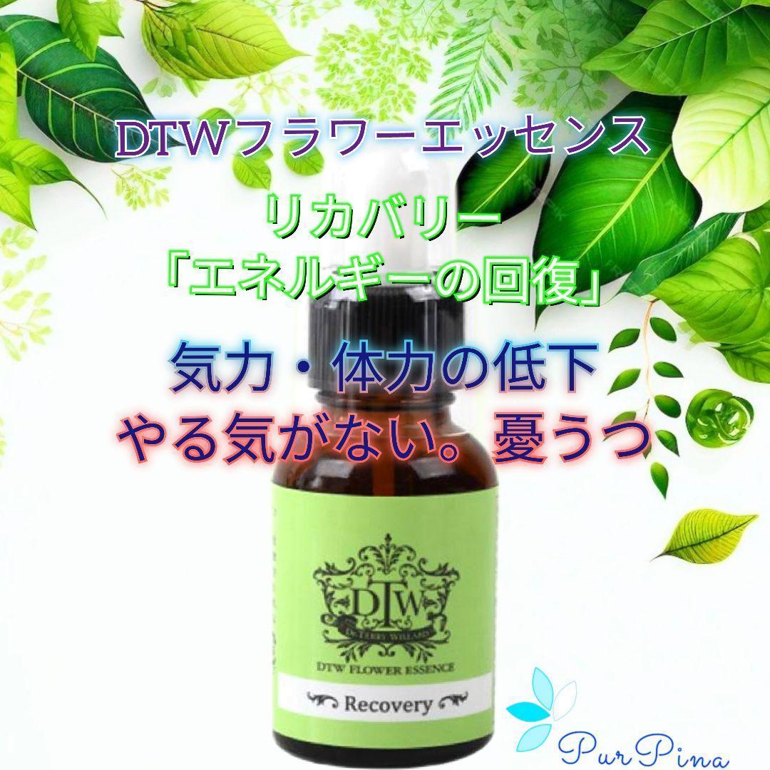 【専用】エイジレスラスター（年齢不詳）《DTWフラワーエッセンス》フォーミュラ他