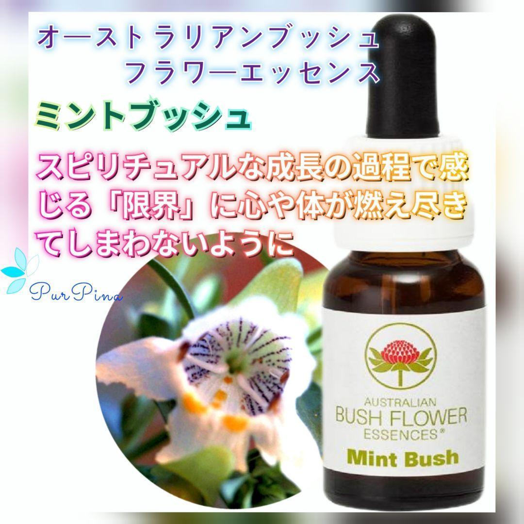 【専用】エイジレスラスター（年齢不詳）《DTWフラワーエッセンス》フォーミュラ他