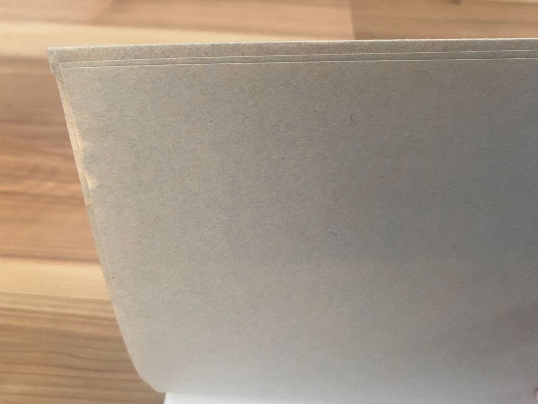 Alvar Aalto Second Nature もうひとつの自然 日本語版