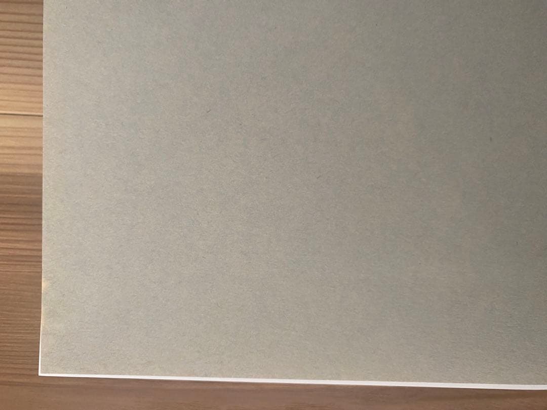 Alvar Aalto Second Nature もうひとつの自然 日本語版